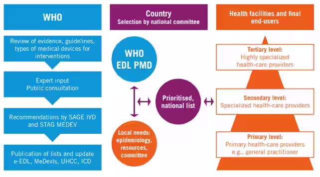 Diagramma che mostra il processo di aggiornamento delle liste OMS e adozione da parte dei paesi.